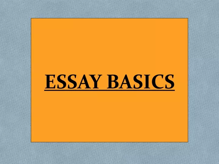 essay basics