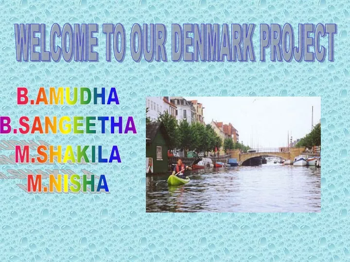 welcome to our denmark project
