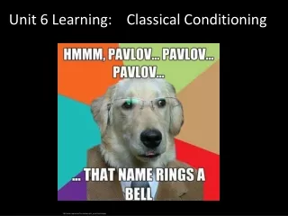 Unit 6 Learning :    Classical Conditioning