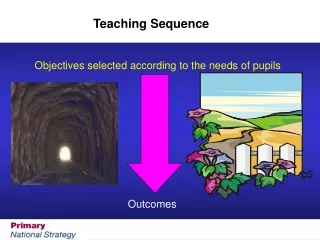Teaching Sequence