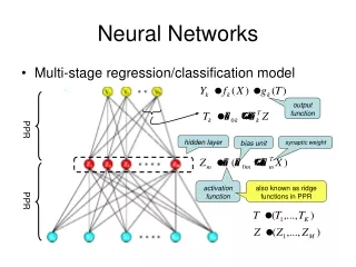 Neural Networks