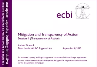 Mitigation and Transparency of Action Session II (Transparency of Action) Andr és Pirazzoli