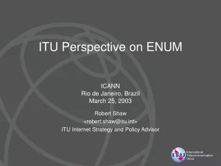 ITU  Perspective  on ENUM