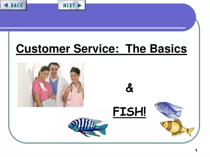 customer service the basics