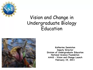 Katherine Denniston Deputy Director Division of Undergraduate Education