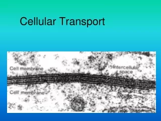 Cellular Transport