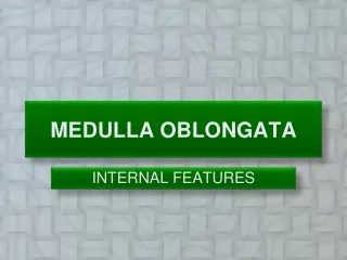 MEDULLA OBLONGATA