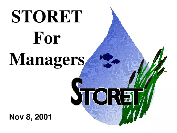 storet for managers