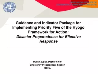 Dusan Zupka, Deputy Chief Emergency Preparedness Section OCHA