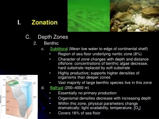Zonation Depth Zones Benthic Sublittoral  (Mean low water to edge of continental shelf)