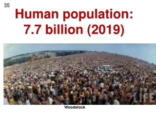 Human population: 7.7 billion (2019)