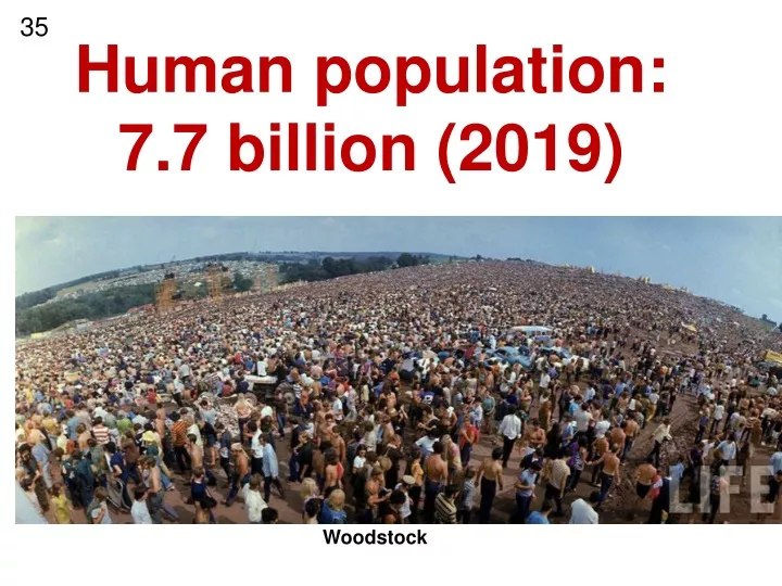 human population 7 7 billion 2019