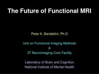 Peter A. Bandettini, Ph.D Unit on Functional Imaging Methods &amp; 3T Neuroimaging Core Facility