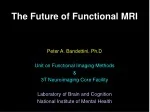 The Future of Functional MRI: Advancements in Sensitivity, Spatial Resolution, and Temporal Resolution - slide 1