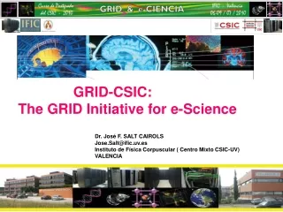 GRID-CSIC: The GRID Initiative for e-Science