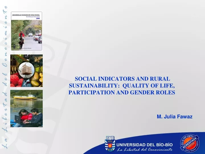 social indicators and rural sustainability