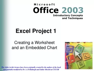 Excel Project 1