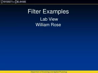 Filter Examples Lab View William Rose