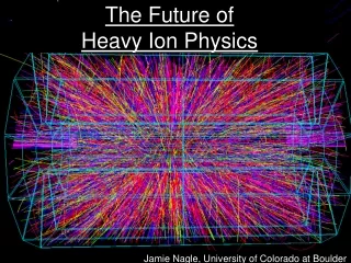 The Future of  Heavy Ion Physics