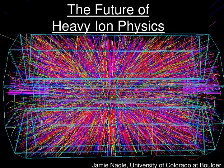 the future of heavy ion physics