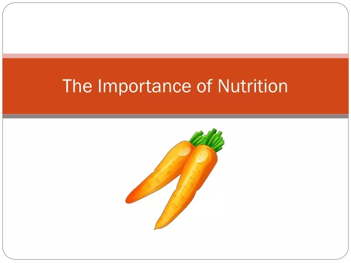 the importance of nutrition