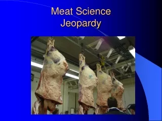 Meat Science                   Jeopardy