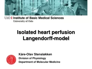 Isolated heart perfusion Langendorff-model