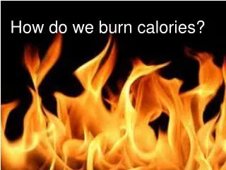 How do we burn calories?