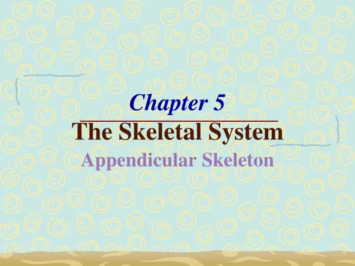 chapter 5 the skeletal system appendicular skeleton
