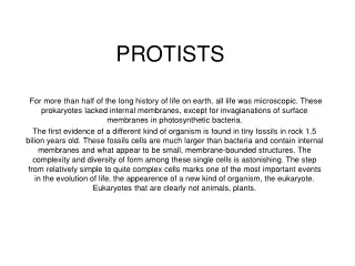 PROTISTS