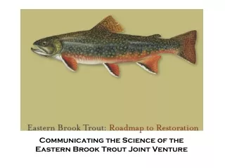 Communicating the Science of the Eastern Brook Trout Joint Venture