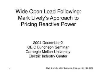 Wide Open Load Following: Mark Lively’s Approach to Pricing Reactive Power