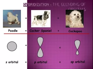 Hybridization -  The Blending of Orbitals