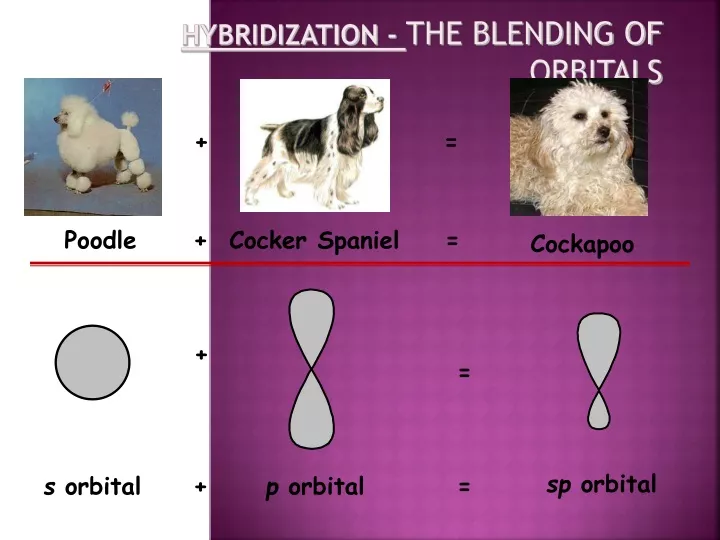 hybridization the blending of orbitals
