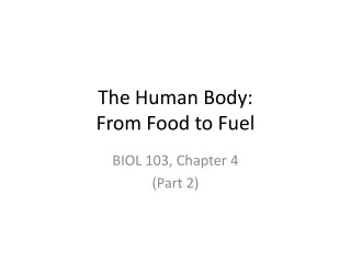 The Human Body: From Food to Fuel