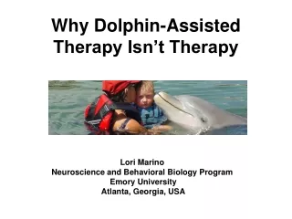 Why Dolphin-Assisted Therapy Isn’t Therapy