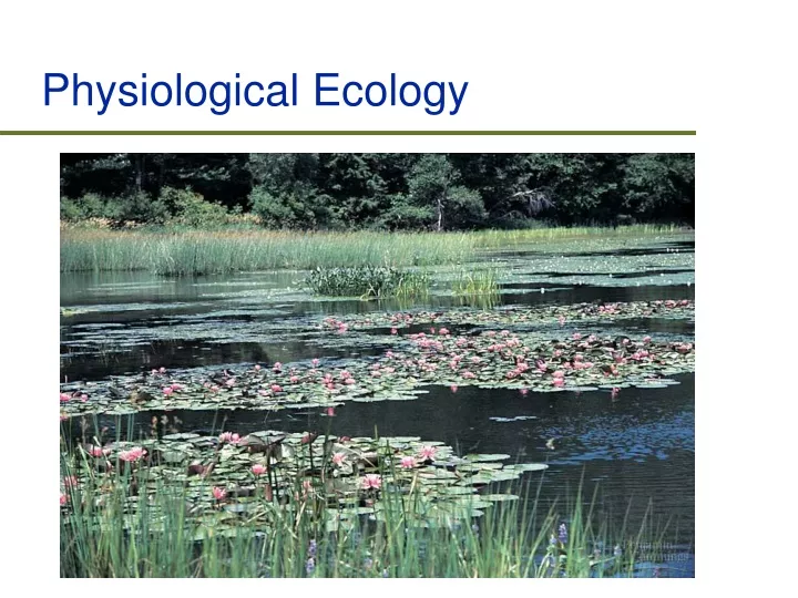 physiological ecology