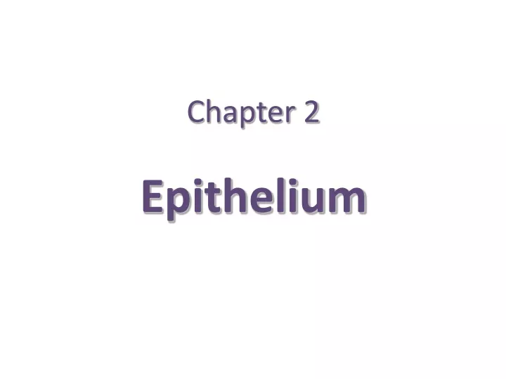 chapter 2 epithelium