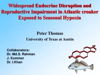 Peter Thomas University of Texas at Austin