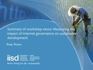 Summary of workshop views: Measuring the impact of Internet governance on sustainable development