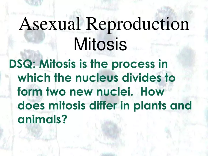 Ppt Asexual Reproduction Powerpoint Presentation Free Download Id9368249 7618