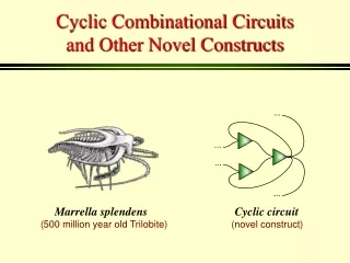 Cyclic Combinational Circuits and Other Novel Constructs