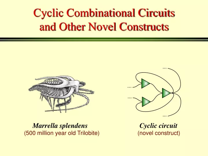 cyclic combinational circuits and other novel constructs