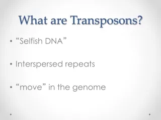 What are Transposons?