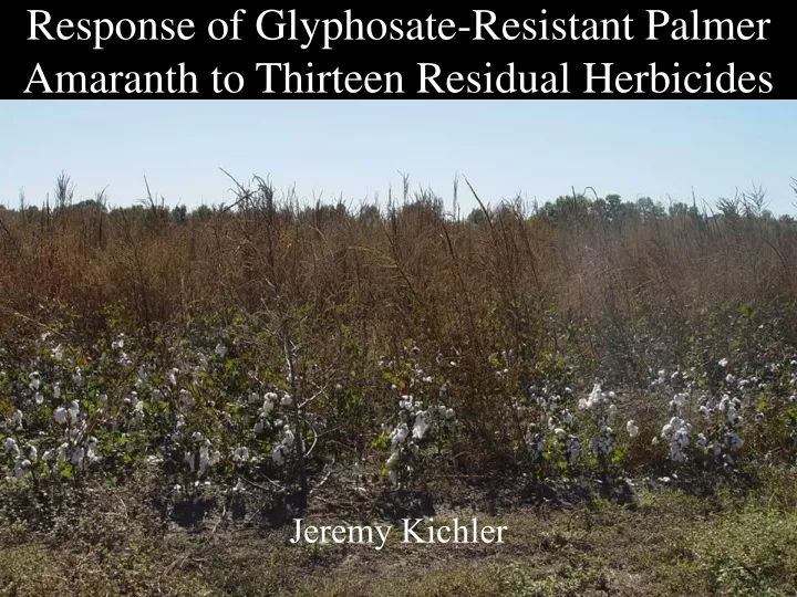response of glyphosate resistant palmer amaranth to thirteen residual herbicides