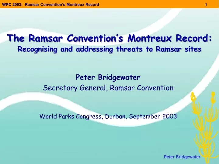 the ramsar convention s montreux record recognising and addressing threats to ramsar sites