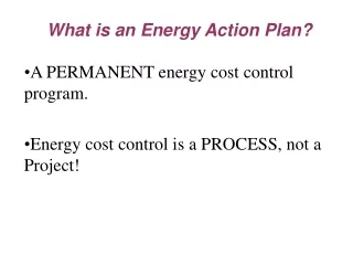 A PERMANENT energy cost control program. Energy cost control is a PROCESS, not a Project!