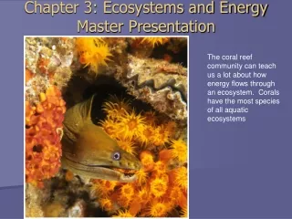 Chapter 3: Ecosystems and Energy  Master Presentation