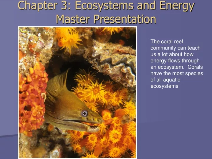 chapter 3 ecosystems and energy master presentation