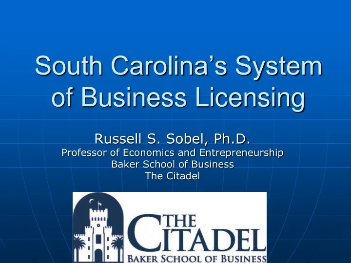 south carolina s system of business licensing